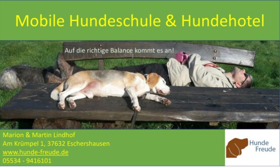 Hunde Freude